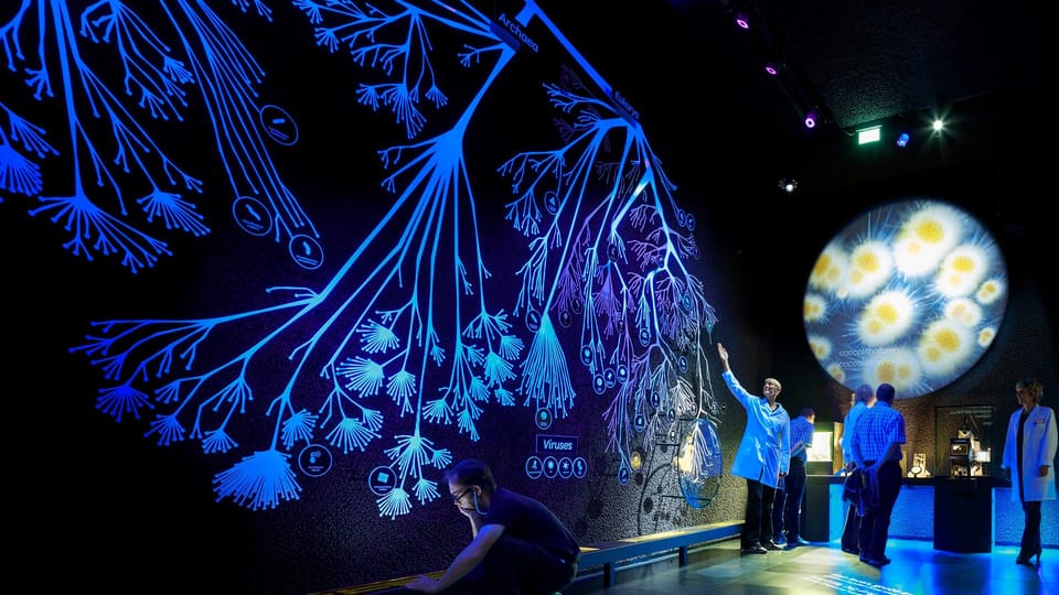 Amsterdam: Artis Royal Zoo & ARTIS-Micropia Combo Ticket - Asian Small-Clawed Otters and the Red Panda Neighbor