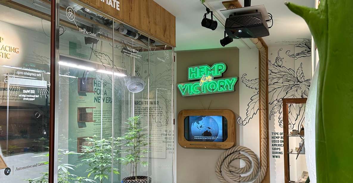 Amsterdam: Cannabis Museum Entry Ticket - Ticket Value: What $14 Buys You (and Why It Feels Fair)
