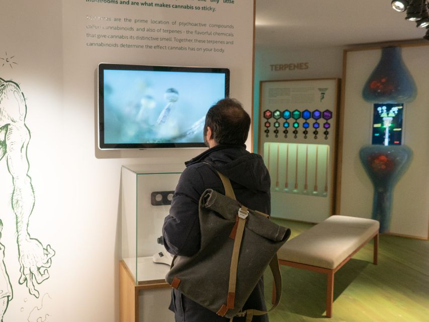 Amsterdam: Cannabis Museum Entry Ticket - Inside the Indoor Ecosystem: Live Plants and Lab-Style Tools