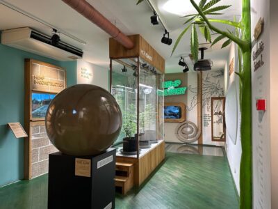 Amsterdam: Cannabis Museum Entry Ticket - The 3-Floor Experience: How Your 45 Minutes Play Out