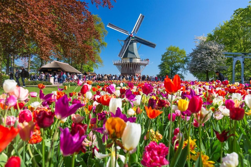 Amsterdam: Day Tour Keukenhof and Zaanse Schans Windmills - Should You Book This Keukenhof and Zaanse Schans Day Trip?