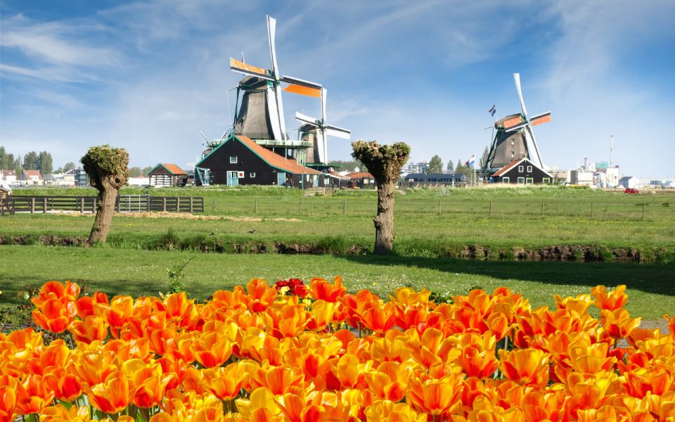 Amsterdam: Day Tour Keukenhof and Zaanse Schans Windmills - Who This Tour Fits Best (And Who Might Prefer Another Plan)