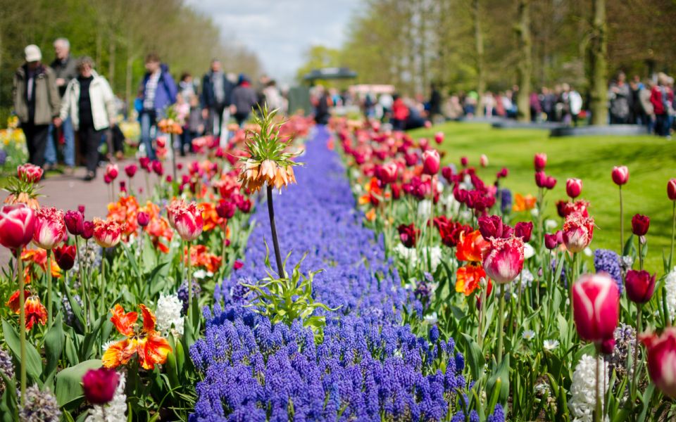 Amsterdam: Day Tour Keukenhof and Zaanse Schans Windmills - Meet at This is Holland: The Easiest Starting Point