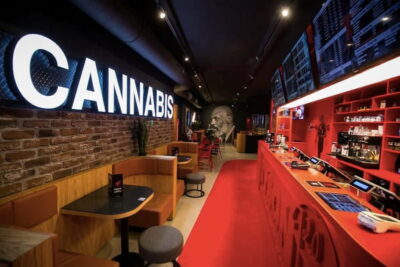 Amsterdam: Guided Ganja Walking Tour of Coffee Shops - Smoking breaks that are actually informational