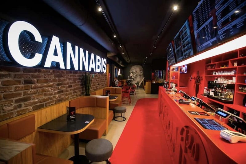 Amsterdam: Guided Ganja Walking Tour of Coffee Shops - Smoking breaks that are actually informational