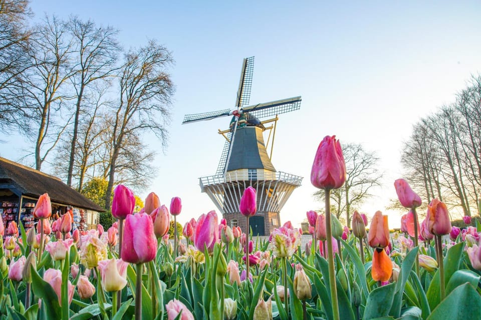 Amsterdam: Keukenhof and Zaanse Schans Live Guided Day Tour - Keukenhof and Zaanse Schans in one day: the best way to see Dutch spring