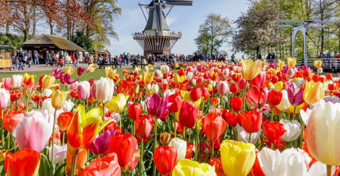 Amsterdam: Keukenhof and Zaanse Schans Live Guided Day Tour - Zaanse Schans: clogs, cheese, and windmill country without the hassle