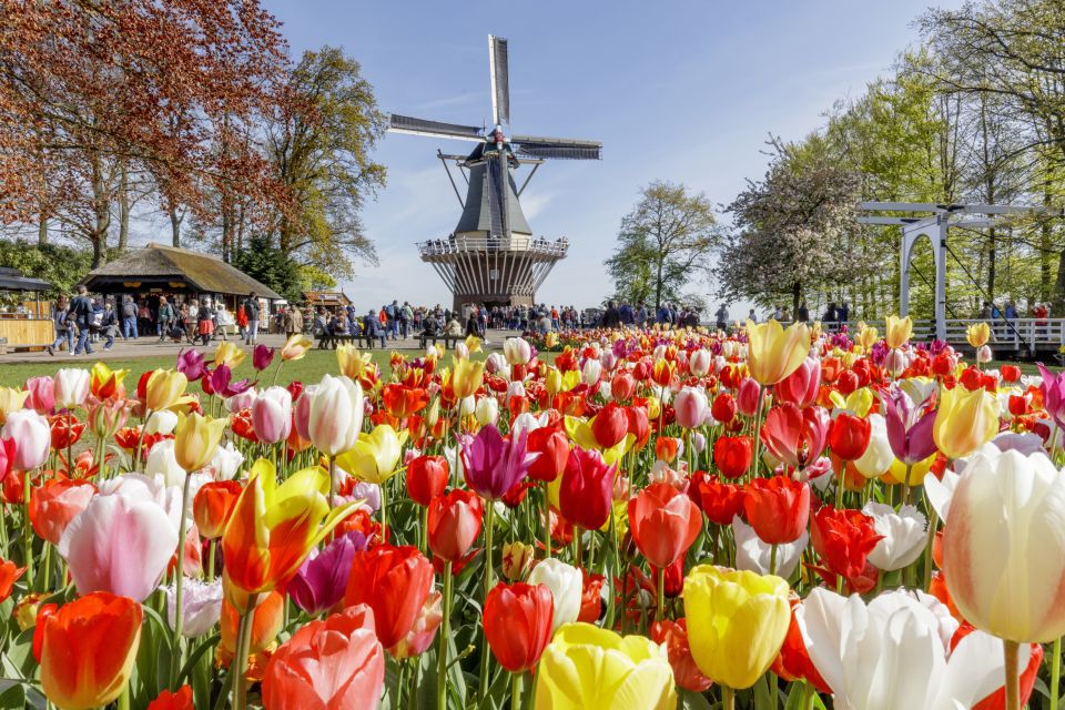 Amsterdam: Keukenhof and Zaanse Schans Live Guided Day Tour - Guides and drivers: why the human touch matters