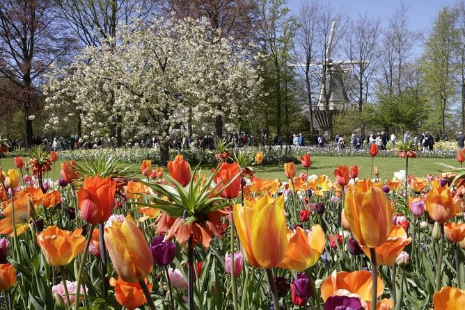 Amsterdam: Keukenhof Entry & Shuttle Bus with Flexible Return - This Is Holland: Your Easy Amsterdam Launch Pad