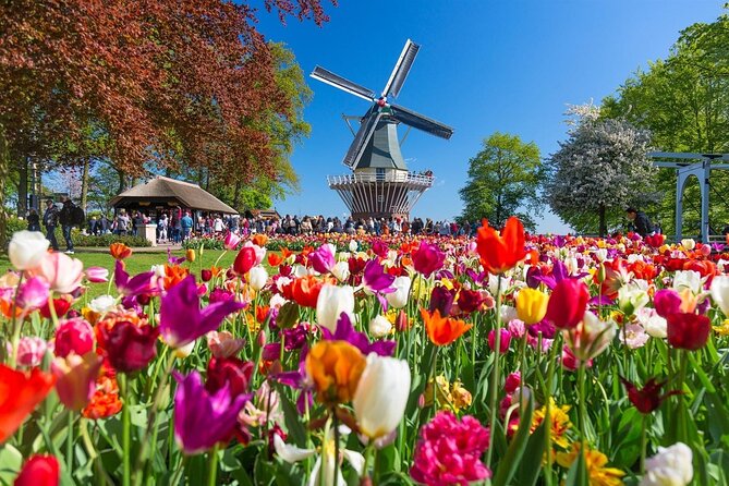 Amsterdam: Keukenhof Entry & Shuttle Bus with Flexible Return - Keukenhof Entry and 7 Million Bulbs: Make Your Time Count
