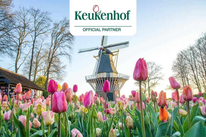 Amsterdam: Keukenhof Ticket and Roundtrip Shuttle Transfer - Why this Amsterdam to Keukenhof shuttle feels so easy