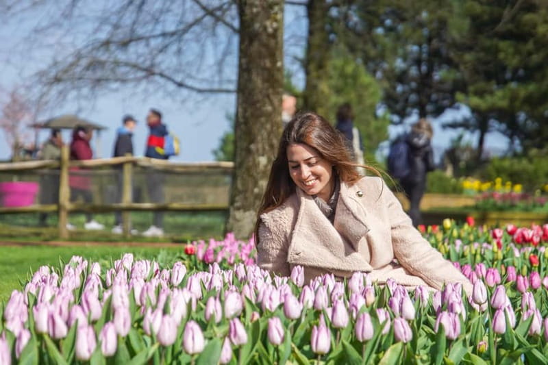 Amsterdam: Keukenhof Ticket and Roundtrip Shuttle Transfer - Who should book this Keukenhof shuttle and who might not