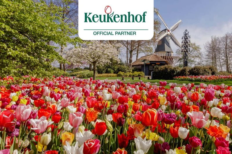 Amsterdam: Keukenhof Ticket and Roundtrip Shuttle Transfer - Meeting at This is Holland: the practical start point