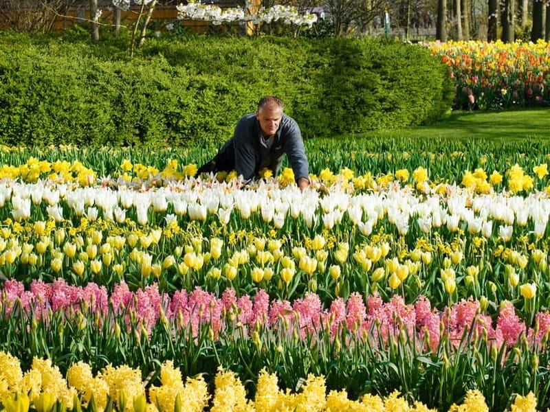 Amsterdam: Keukenhof Ticket and Roundtrip Shuttle Transfer - The ride to Keukenhof: comfort, timing, and what to expect