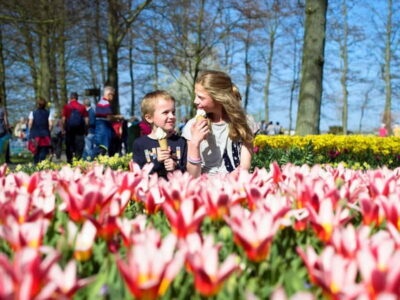 Amsterdam: Keukenhof Ticket and Roundtrip Shuttle Transfer - Ticket exchange in Amsterdam: where your Keukenhof entry comes alive
