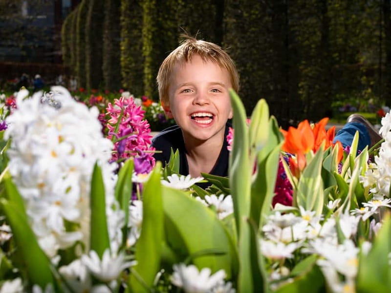 Amsterdam: Keukenhof Ticket and Roundtrip Shuttle Transfer - Late season reality: bloom timing can change everything