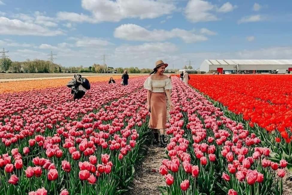 Amsterdam: Keukenhof, Tulip Farm Full-Day Tour with Cruise - Key things I’d plan around
