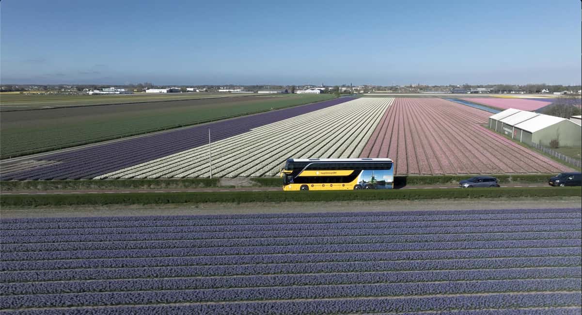 Amsterdam: Keukenhof, Tulip Farm Full-Day Tour with Cruise - A Few Practical Considerations Before You Go