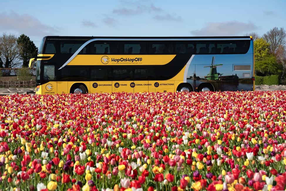 Amsterdam: Keukenhof, Tulip Farm Full-Day Tour with Cruise - Guides and On-Board Commentary: Where the Day Gets Personality
