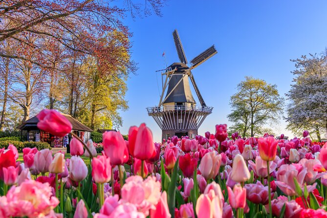 Amsterdam: Keukenhof, Zaanse Schans & Volendam Tour - Key highlights you’ll feel right away