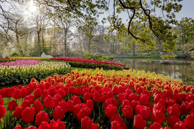 Amsterdam: Keukenhof, Zaanse Schans & Volendam Tour - Back in Amsterdam: lunch time is your choice