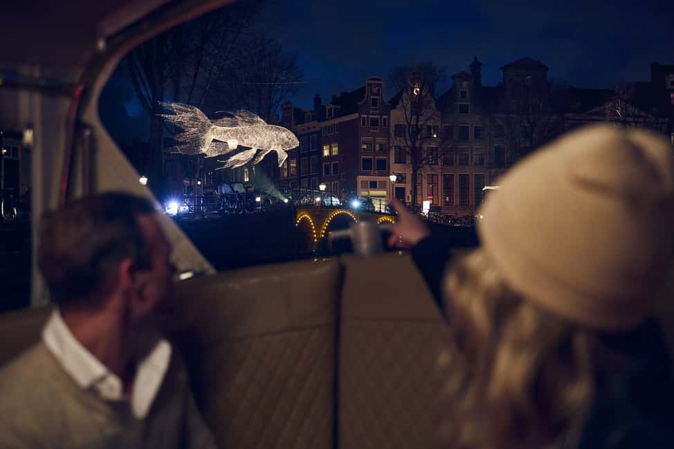 Amsterdam: Light Festival Boat with Unlimited Drinks Option - Who should book this cruise, and who might skip it