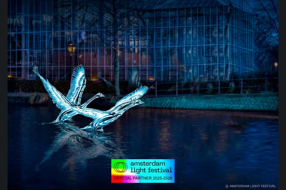 Amsterdam: Light Festival Heated Cruise with Drinks & Snacks - Key Highlights Worth Prioritizing