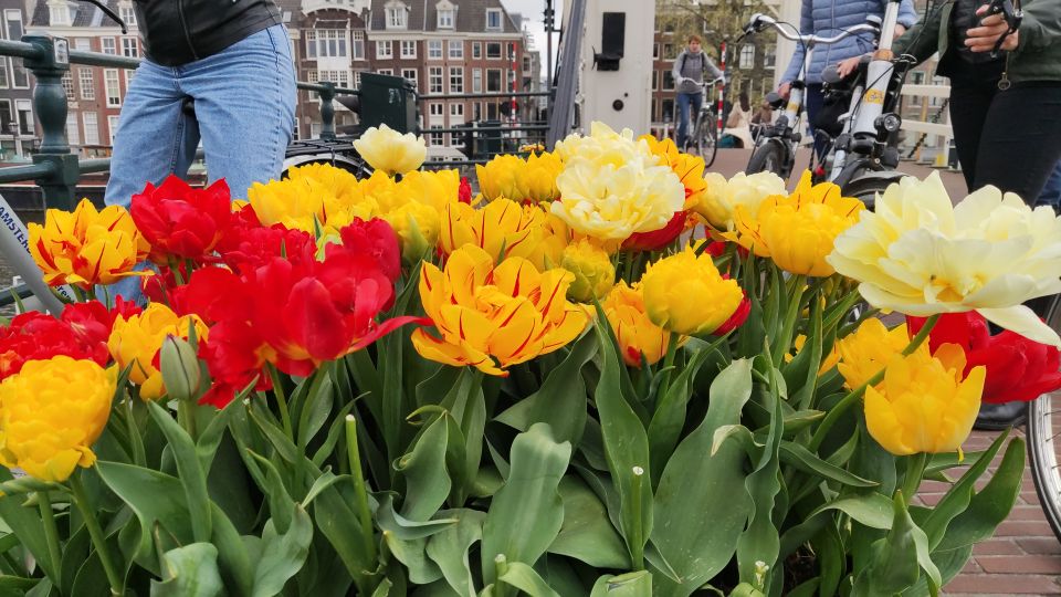 Amsterdam: Off the Beaten Path Bike Tour in French - Stop by stop: what you’ll experience across Amsterdam