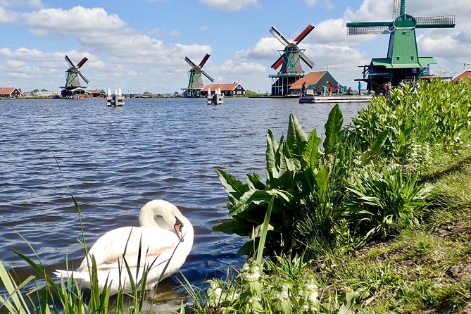 Amsterdam private tour to windmills, cheese farm and villages - Edam Stops: Cheese Town Energy and a Seafood Detour