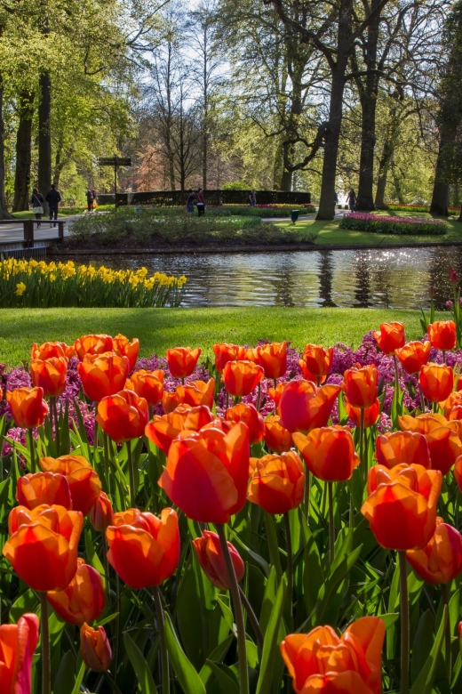 Amsterdam: Tour to Keukenhof Gardens with Windmill Cruise - From This Is Holland to the Dutch Polders: How the day really runs