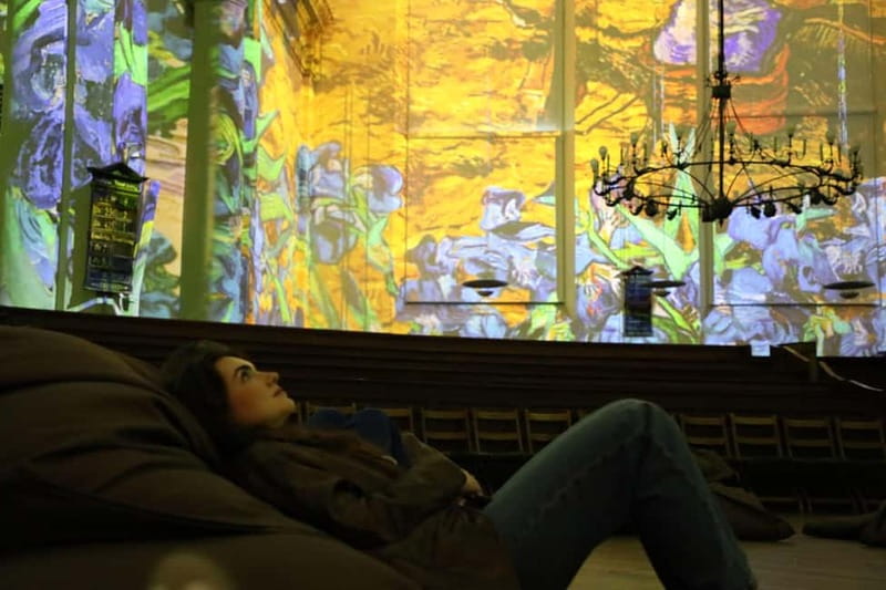 Amsterdam: Van Gogh and Rembrandt Immersive Experience Entry - Price and value: $17 for a short, high-impact art format