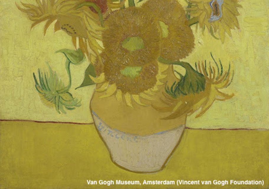Amsterdam: Van Gogh Museum Guided Tour with Entry - Skip-the-line value: what $69 gets you in the Van Gogh Museum