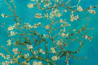 Amsterdam: Van Gogh Museum Ticket and City Canal Cruise - What makes this museum visit work so well