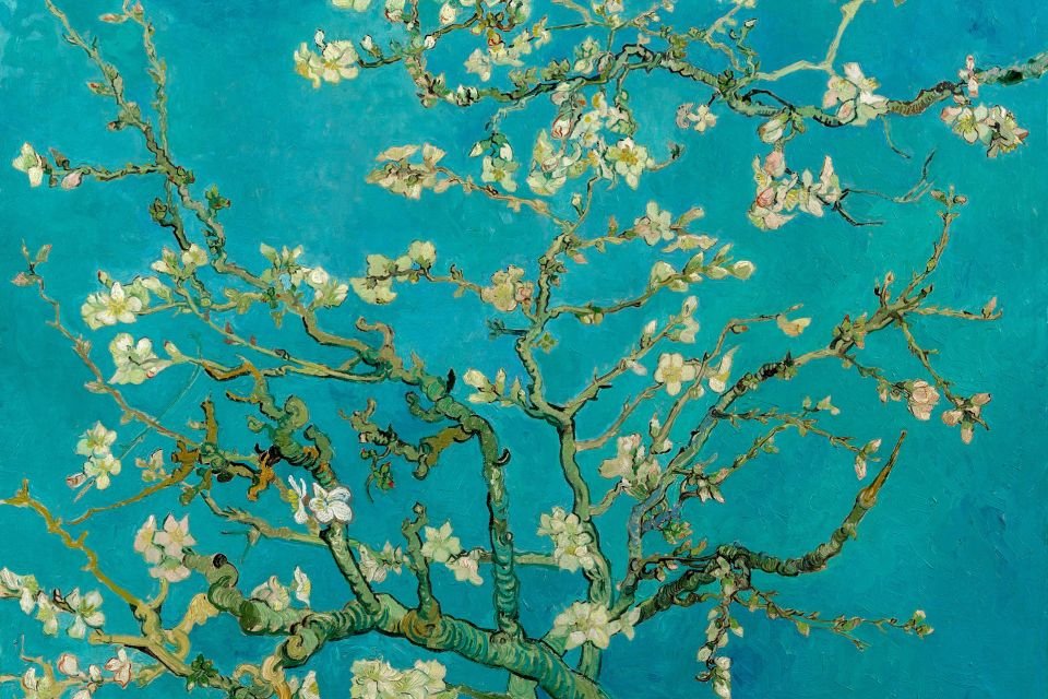 Amsterdam: Van Gogh Museum Ticket and City Canal Cruise - What makes this museum visit work so well