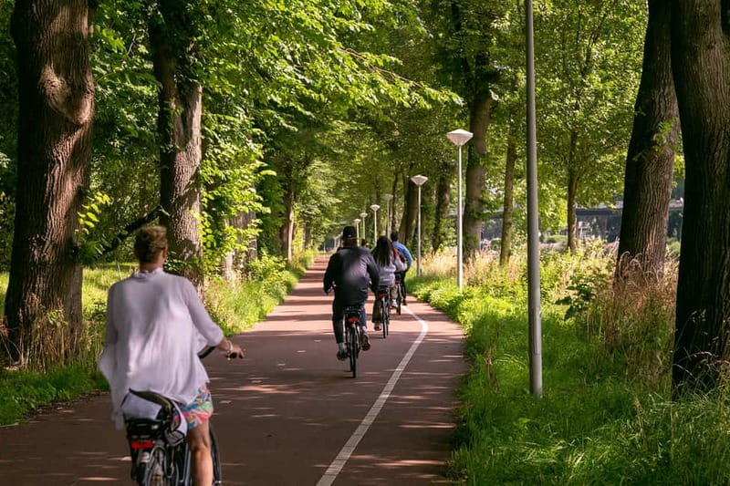 Amsterdam: Windmill, Cheese, and Countryside E-Bike Tour - The D’Admiraal Windmill Stop: Practical, Photoable, and Actually Worth It