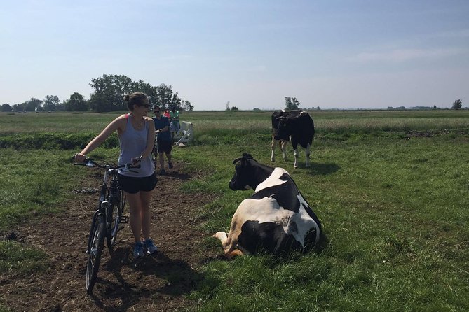 Amsterdam's Countryside Half-Day Bike Tour in Small Group - Meet at Spuistraat 30 and get rolling the smart way