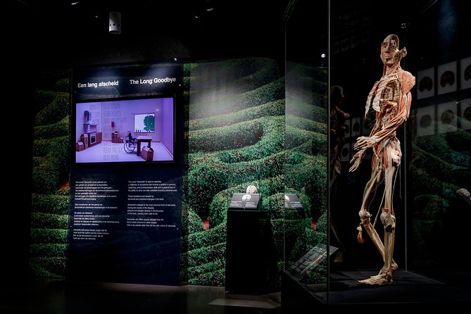 Body Worlds Amsterdam Admission Ticket - What about the museum tech (and the staff experience)?