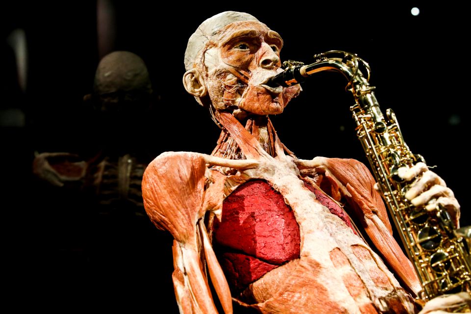 Body Worlds Amsterdam: The Happiness Project Ticket - Key points before you book