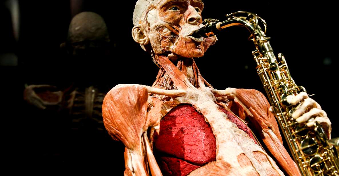 Body Worlds Amsterdam: The Happiness Project Ticket - Entering Body Worlds on Damrak: timed access, fast orientation