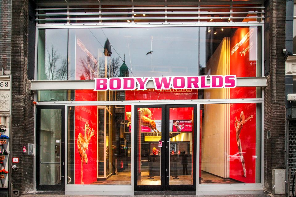 Body Worlds Amsterdam: The Happiness Project Ticket - The exhibition flow across the floors: from first glance to full story