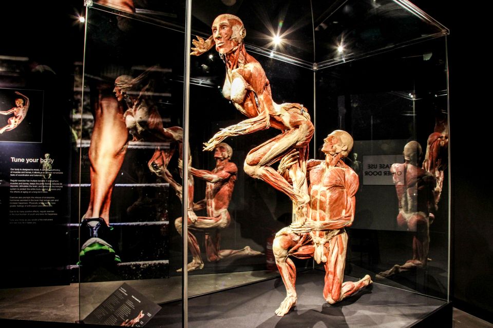 Body Worlds Amsterdam: The Happiness Project Ticket - How long it takes (and when to go if you dislike crowds)