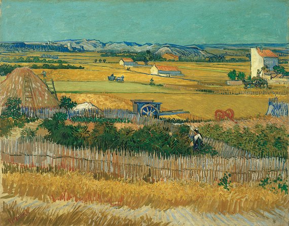 Combo Ticket: Van Gogh Museum Ticket and 1-Hour Canal Cruise - Ticket scanning and the app factor: how to avoid the most common headaches