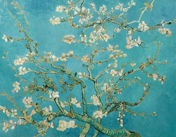 Combo Ticket: Van Gogh Museum Ticket and 1-Hour Canal Cruise - Timed Van Gogh Museum entry: what your museum visit really includes