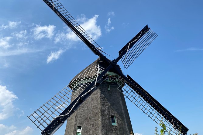 Escape Amsterdam: E-Bike to Zaanse Schans Windmills & Zaandam - Zaanse Schans: the heritage stop that actually deserves time