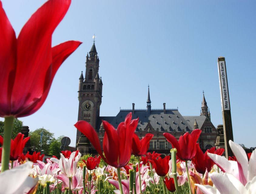 From Amsterdam: Guided Trip to Rotterdam, Delft & The Hague - Three cities, one day: the route makes sense