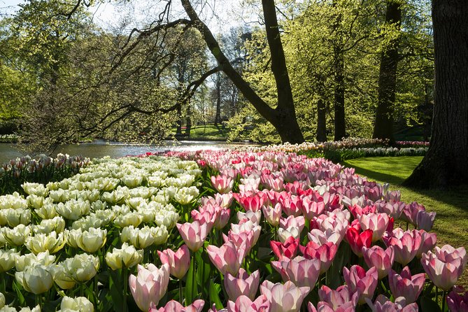 From Amsterdam: Keukenhof Gardens Ticket and Transfer - Who should book this Keukenhof transfer?
