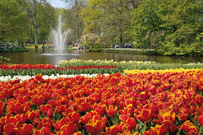 From Amsterdam: Keukenhof Gardens Ticket and Transfer - Should you book this Amsterdam-to-Keukenhof transfer?