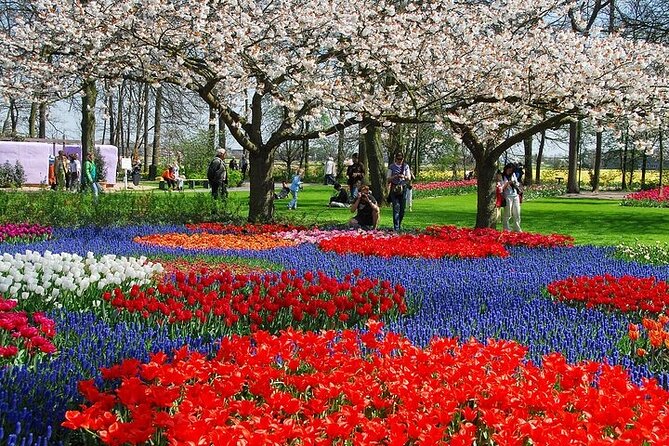 From Amsterdam: Keukenhof Gardens Ticket and Transfer - Keukenhof Gardens in about 3 hours: how to use your free time
