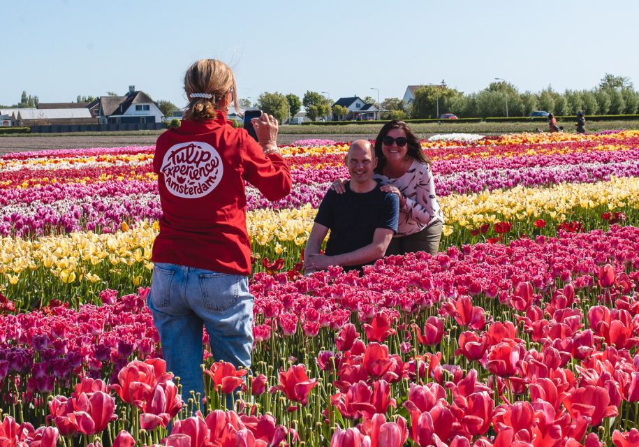 From Amsterdam: Keukenhof Gardens & Tulip Experience Tour - Who this tour suits best (and who should skip)