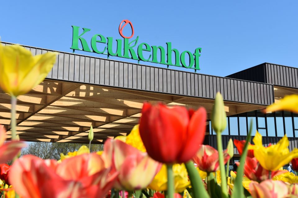 From Amsterdam: Keukenhof Gardens & Tulip Experience Tour - Scenic ride + flower-fields timing: what you can control